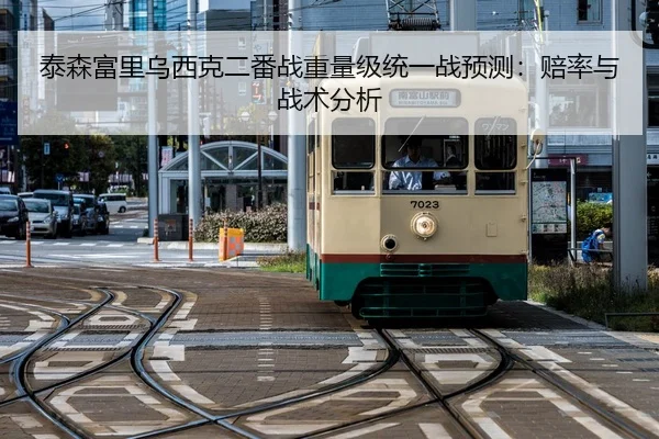 tai-sen-fu-li-wu-xi-ke-er-fan-zhan-zhong-liang-ji-tong-yi-zhan-yu-ce-pei-lv-yu-zhan-shu-fen-xi-2-861.jpg